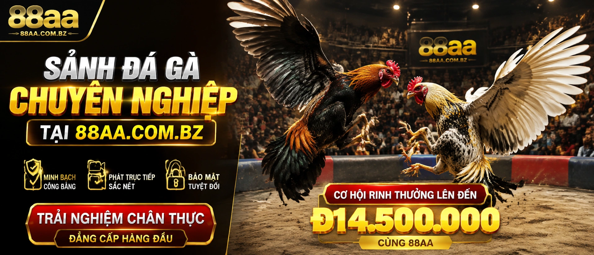 Cửa cược đá gà
